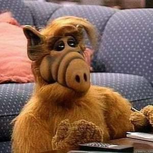 Meet your Posher, Henry